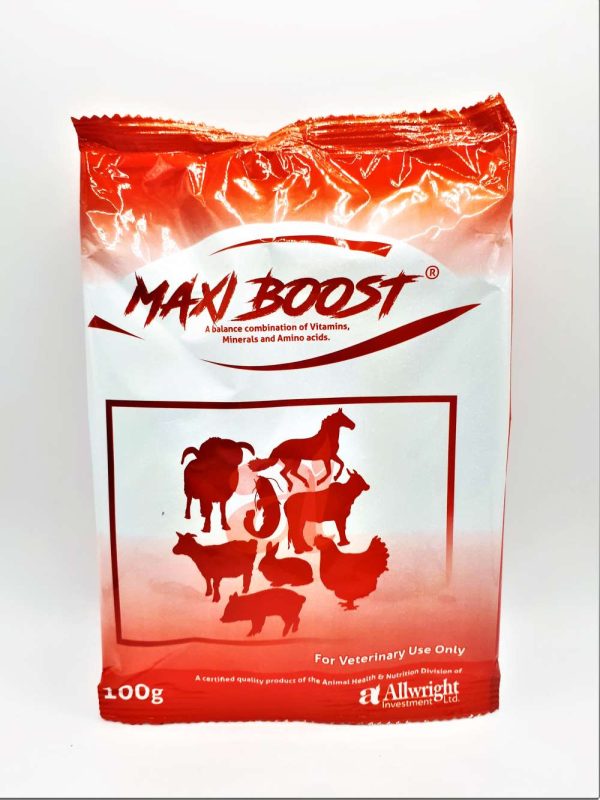 Maxi Boost