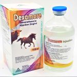 Dexamore 100ml