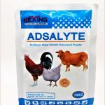 Adsalyte 100g