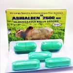 Ashialben 2500