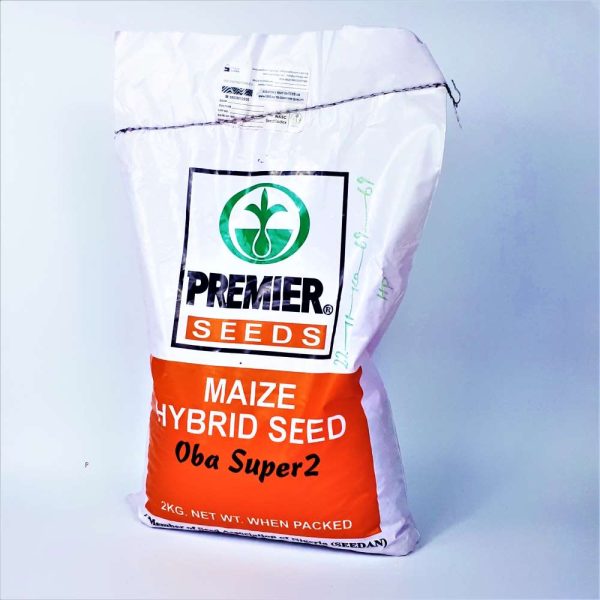 Maize Hybrid Seed