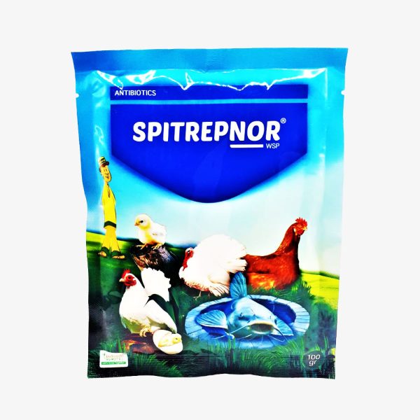 SPITREPNOR