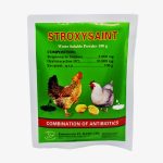 STROXYSAINT