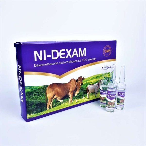 NI Dexam Anti Inflammatory