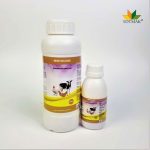 MINTOCARE