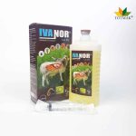 IVANOR INJECTION 2%