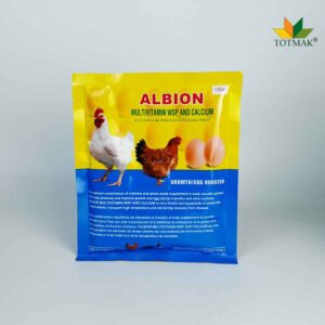 Albion Multivitamin and Calcium