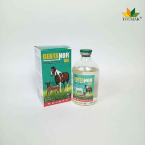 GENTANOR GENTAMYCIN
