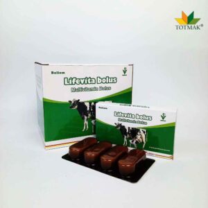 LIFEVITA MULTIVITAMIN BOLUS