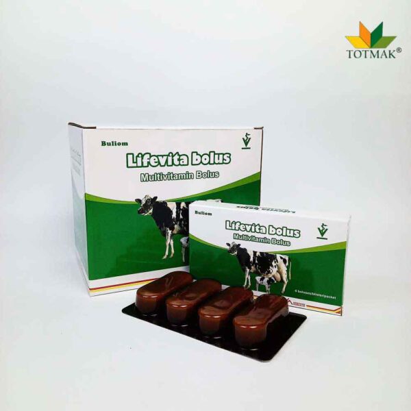 LIFEVITA MULTIVITAMIN BOLUS