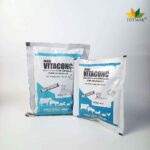 MAXI VITACONC Multivitamin and Amino Acid Concentrate