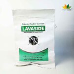 Lavaside
