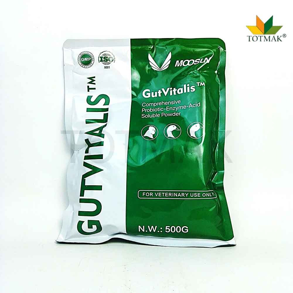 GutVitalis poultry gut health supplement with probiotics digestive enzymes and organic acids